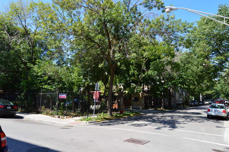 A street corner with trees and cars on it
