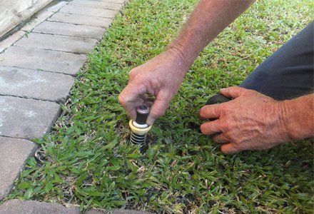 Expert installing water sprinklers 