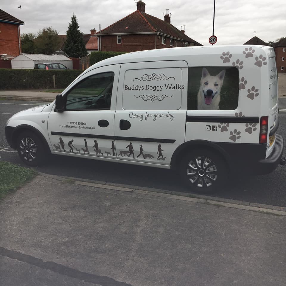 dog walking services york