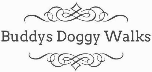 Buddys Doggy Walks