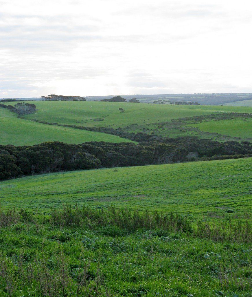 Farm views Antechamber Bay Retreats