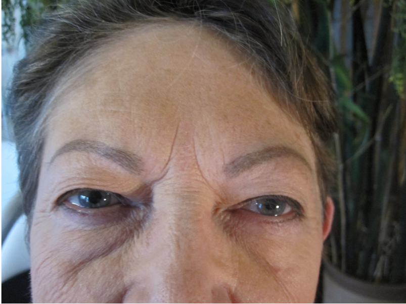 Permanent Makeup Eye Brows after Fair Oaks Permanent Makeup Eye Brows after