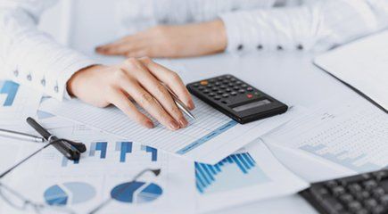 Annual statutory audit