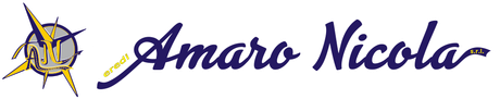Demolizioni Civili e Industriali Eredi Amaro Nicola-LOGO