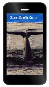 Mobile-Optimized Website Featuring Compelling Photography