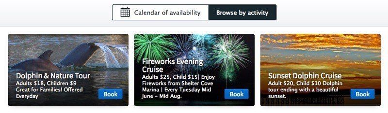 Online Ticketing Interface for Touring Industry Website by Power Marketing International, LLC