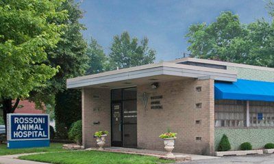 Animal Hospital — Rossoni Animal Hospital Front Office In Taylor, MI Animal Hospital — Rossoni Animal Hospital Front Office In Taylor, MI