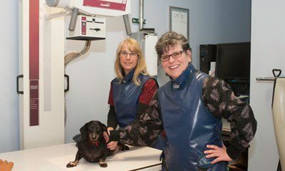 Animal Care — Two Woman Standing Beside The Dog In Taylor, MI Animal Care — Two Woman Standing Beside The Dog In Taylor, MI