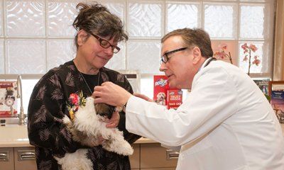 Animal Health — veterinarian Doing Checkup With The Patient Dog In Taylor, MI Animal Health — veterinarian Doing Checkup With The Patient Dog In Taylor, MI