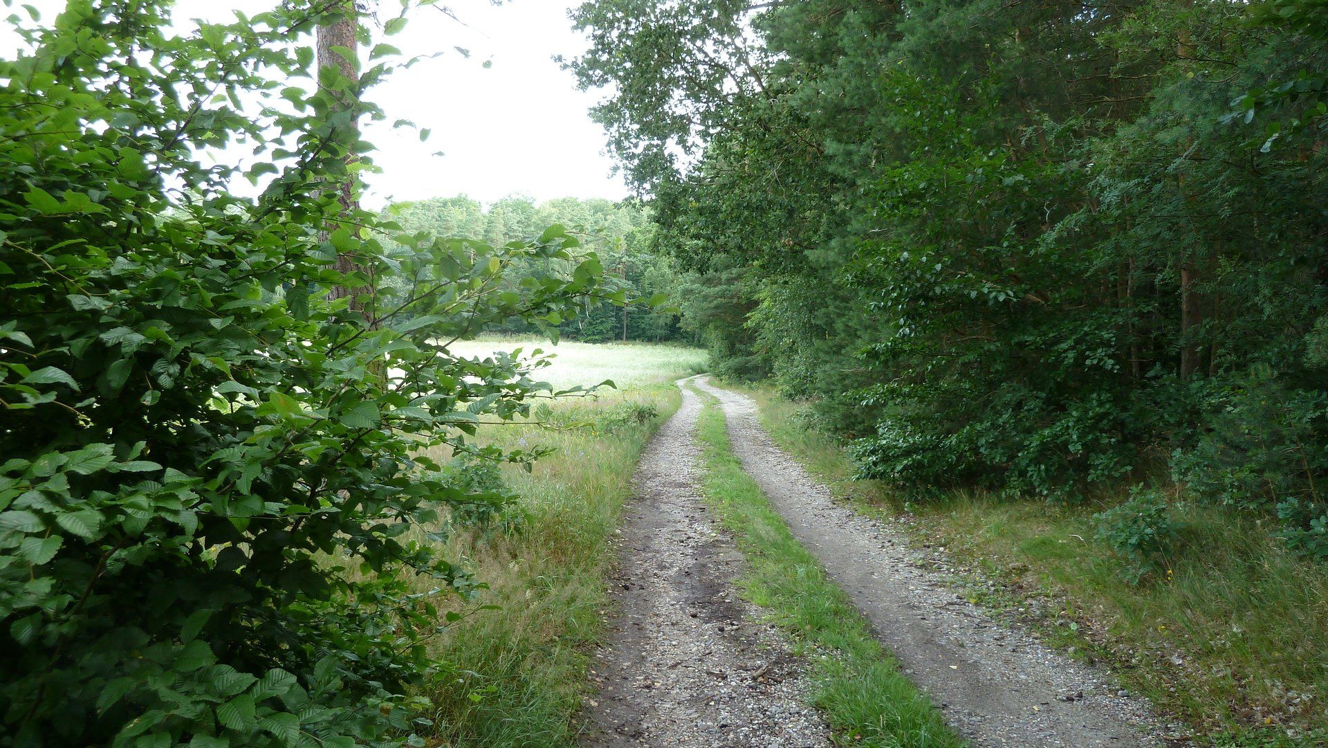 Feldweg