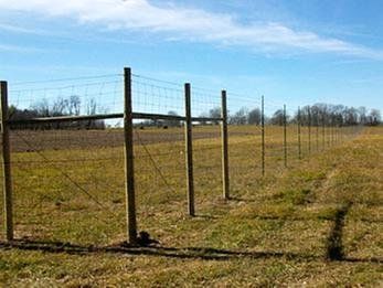 Fence — Deer Fence in Deerwood, MN Fence — Deer Fence in Deerwood, MN