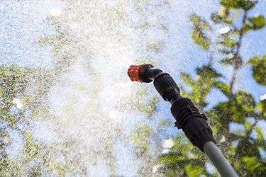 Spraying on Tree - Weed Control in Albuquerque Spraying on Tree - Weed Control in Albuquerque