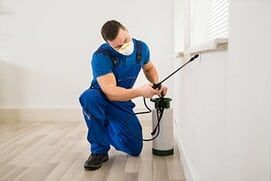 Spraying Insecticide - Pest Control in Albuquerque Spraying Insecticide - Pest Control in Albuquerque