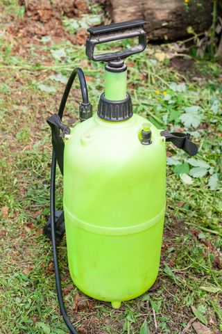 Pesticide Spray — Albuquerque, NM — Reed Services Pest Management Pesticide Spray — Albuquerque, NM — Reed Services Pest Management