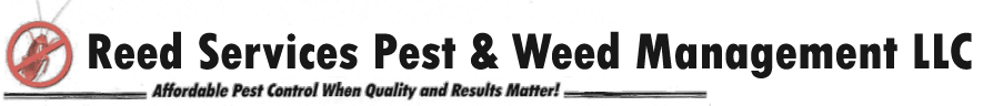 Reed Services Pest Management