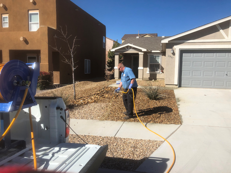 Pulling Weeds - Weed Control in Albuquerque Pulling Weeds - Weed Control in Albuquerque
