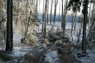 Покупаем Покупаем