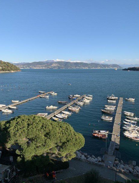 Moored boats