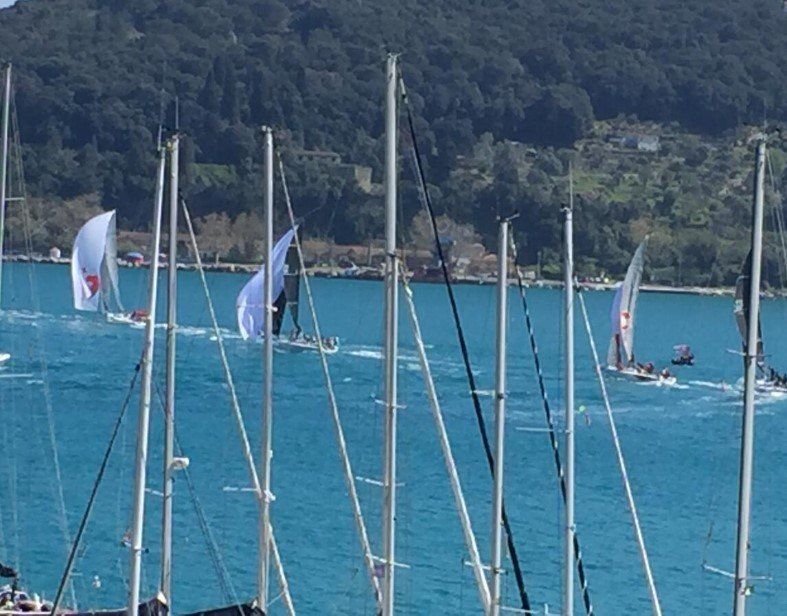 Sailing boats