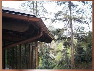 Gutter near the trees - Gutter Cleaning in Edwards, CO