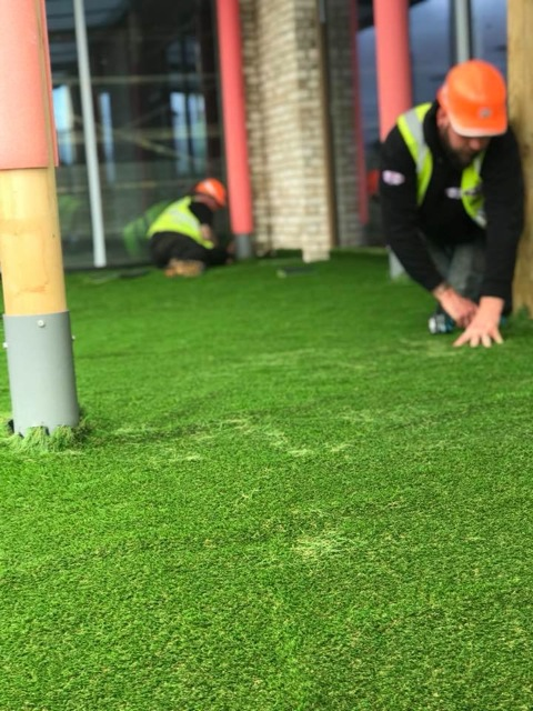 lawn example 3