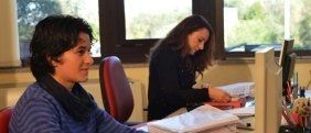 Consulenza alle aziende