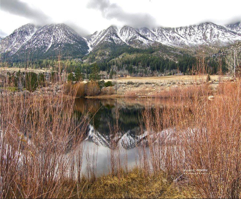 A lake surrounded by tall grass with mountains in the background