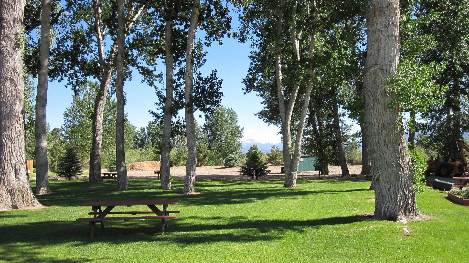 A picnic table in a park surrounded by trees