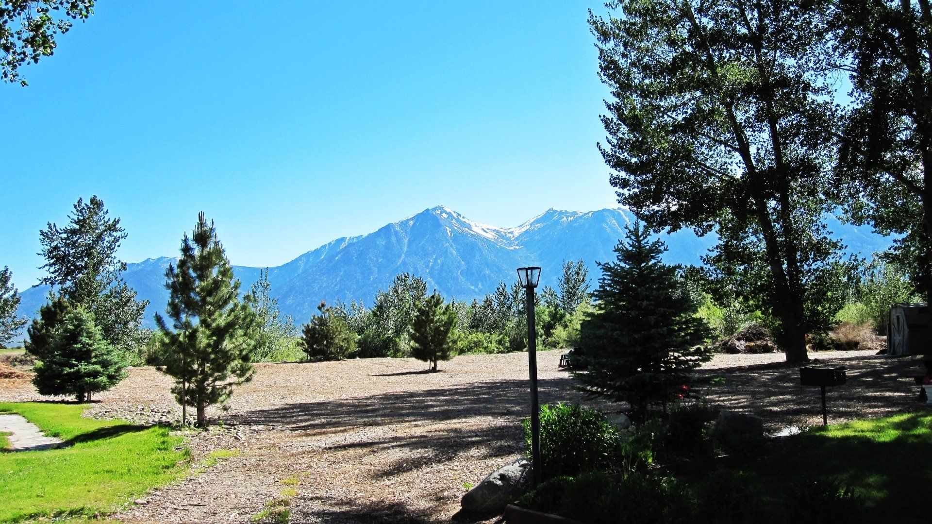 A field with trees and mountains in the background