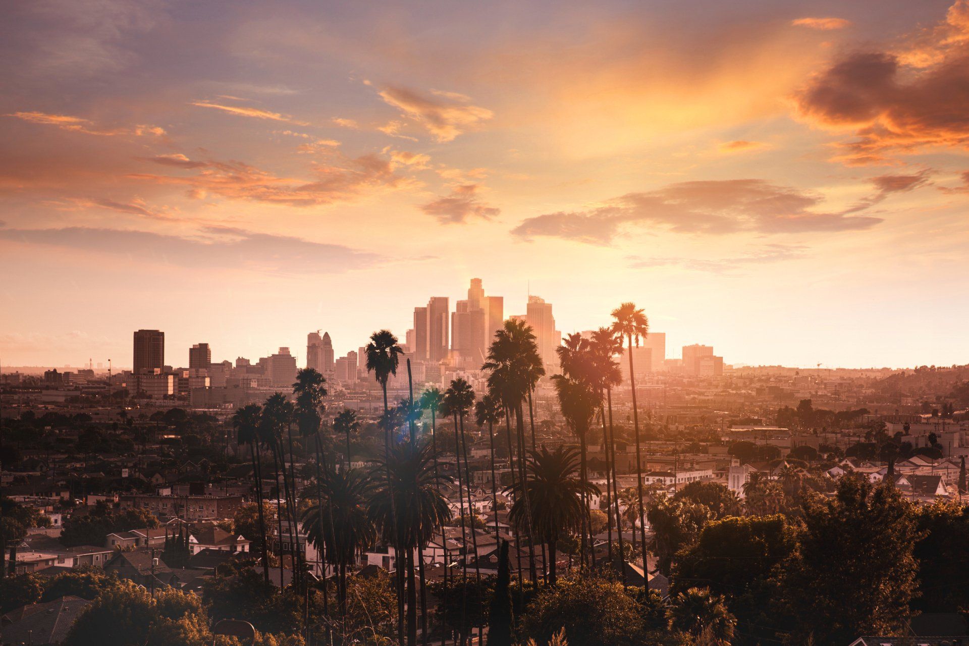 LA Skyline