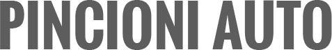 PINCIONI AUTO - LOGO