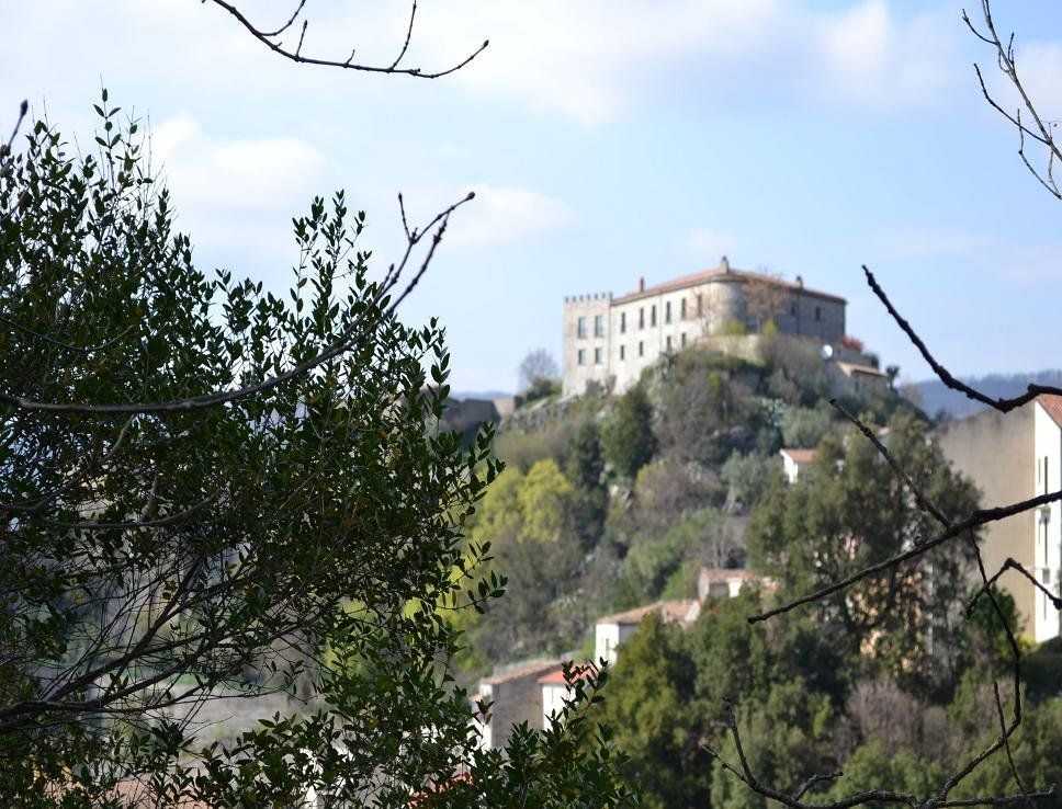 alberi e castello in lontananza