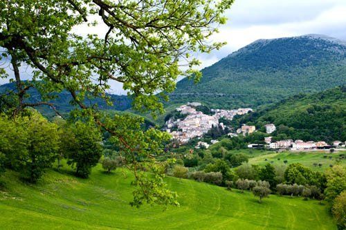 albero e città in lontananza