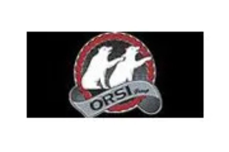 Orsi logo