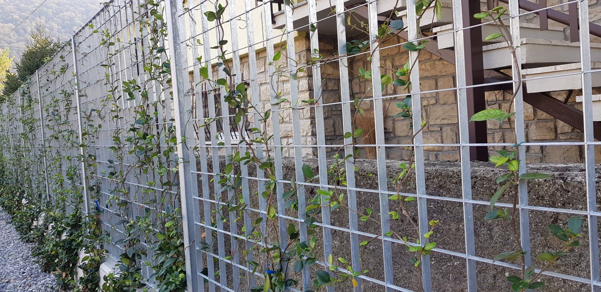 Recinzione a traliccio in filo metallico ricoperta di piante rampicanti accanto a un edificio in mattoni e scale in legno.