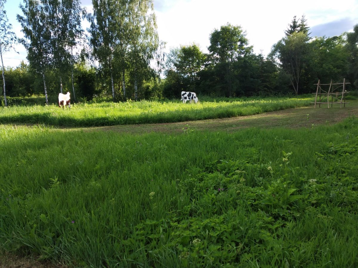 Futbolgolfs Ganības 03