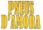 PNEUS D'AMORA di D'AMORA FERDINANDO sas LOGO