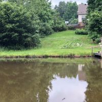 Monthly Aquatic Maintenance Services