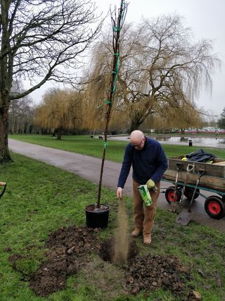 A man is planting a tree in a park.