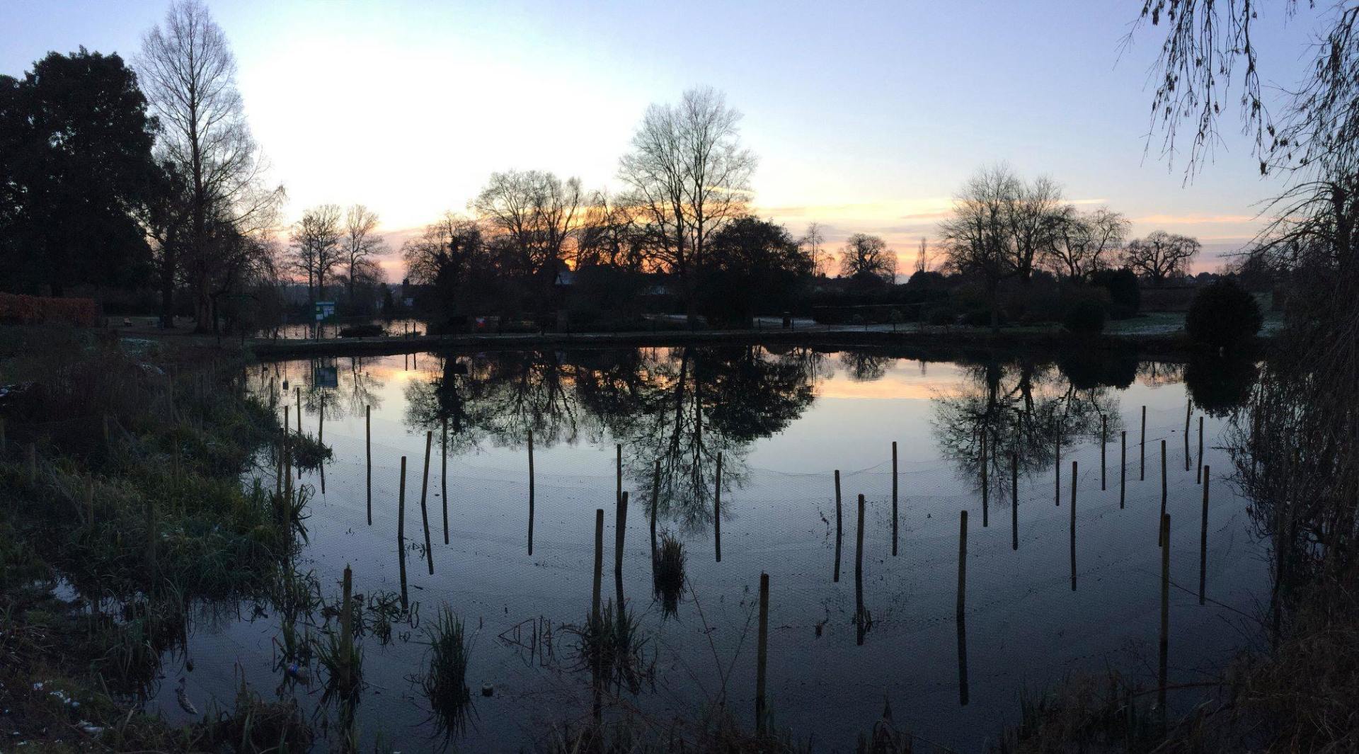 A sunset over a lake with trees in the background