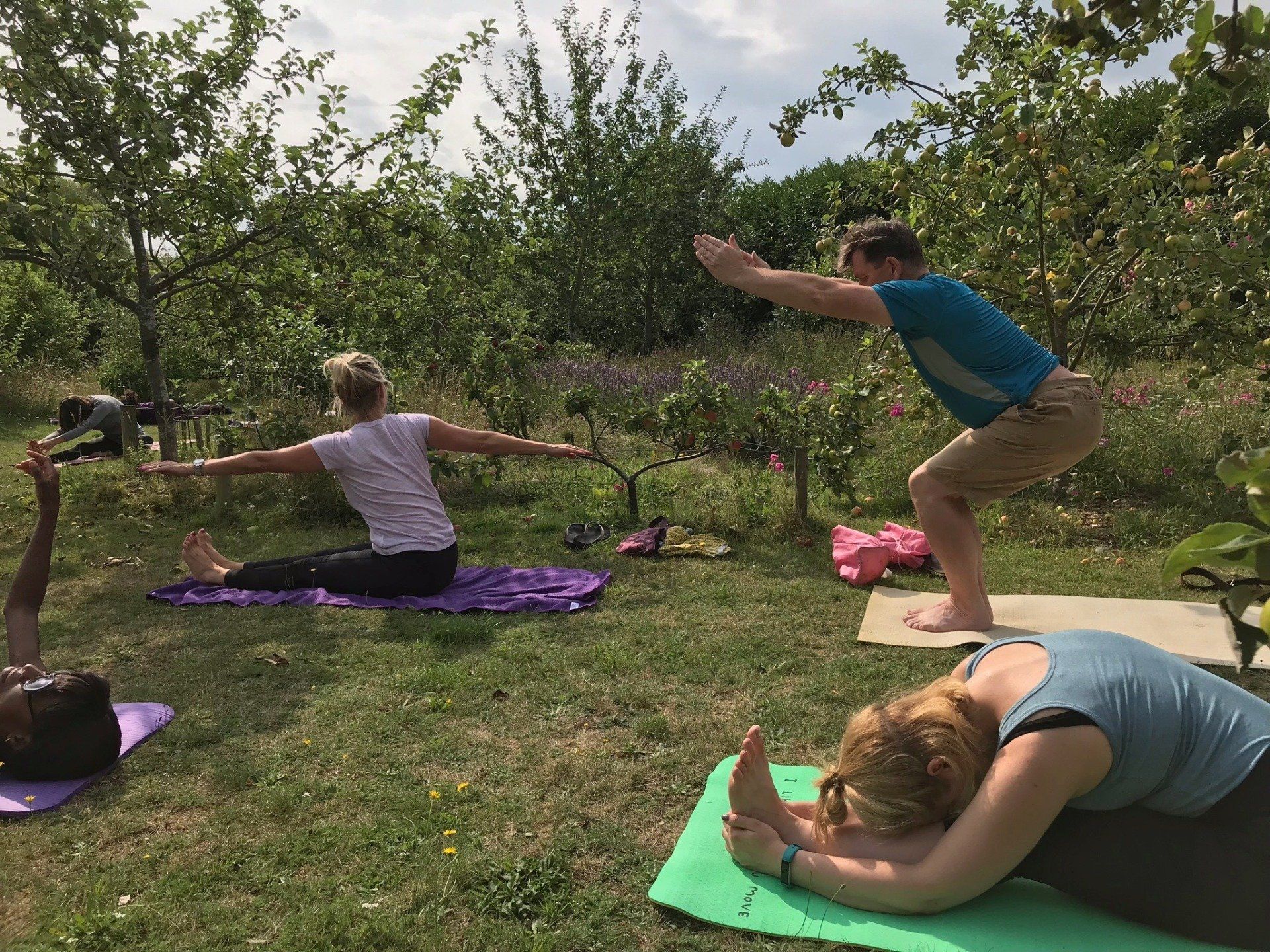 A group of people are doing yoga in the grass.