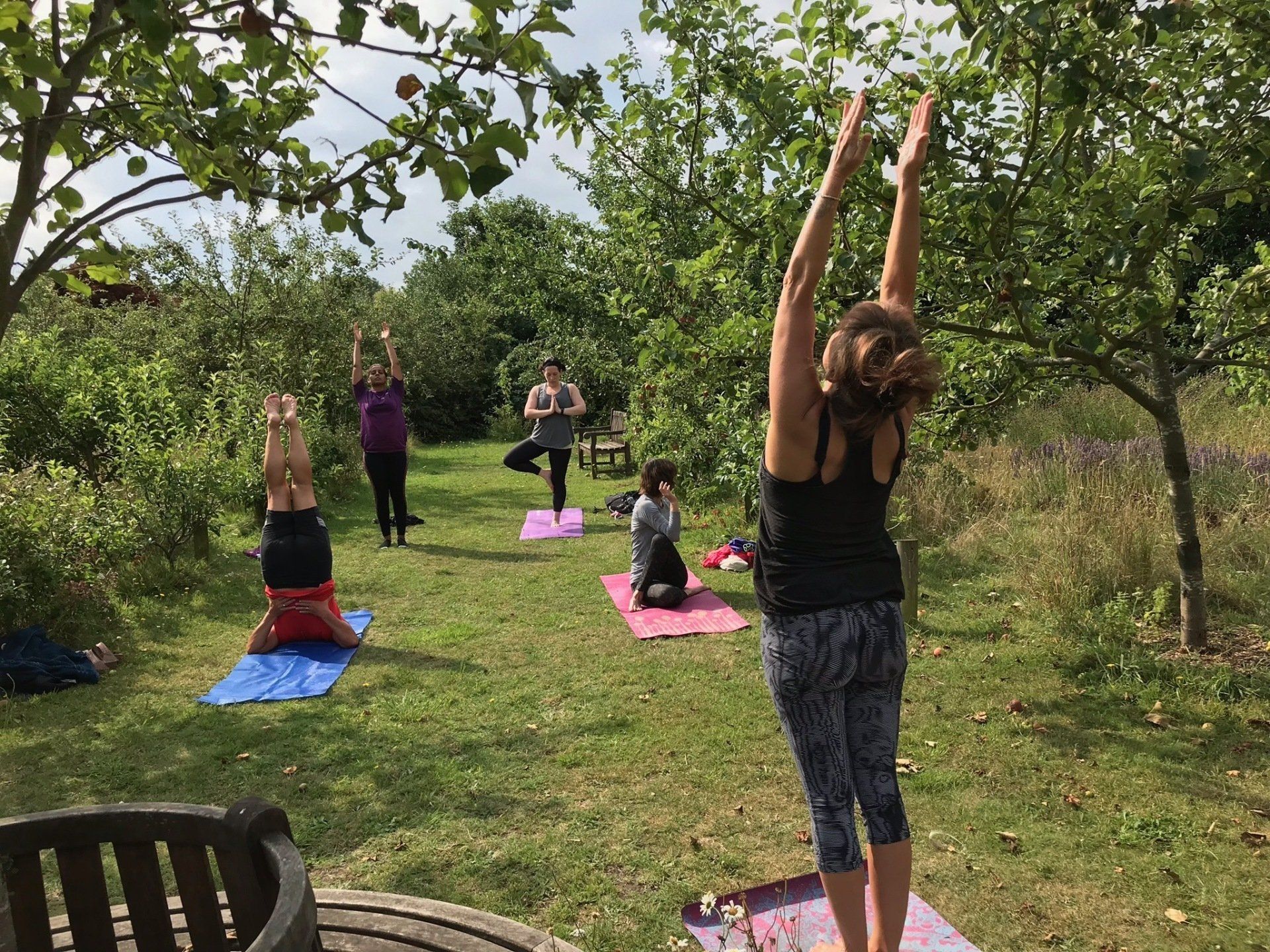 A group of people are doing yoga in a park.