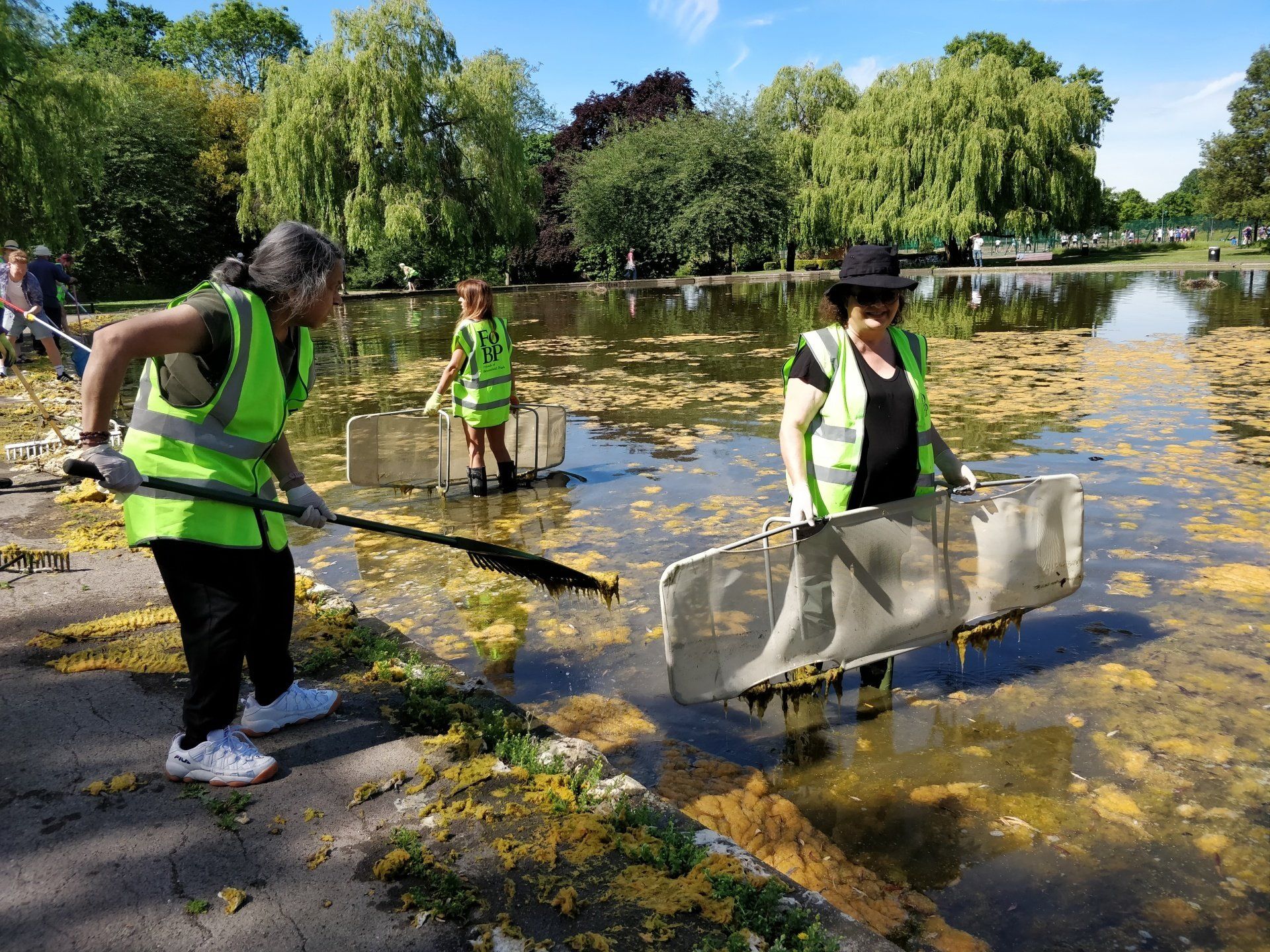 A group of people are cleaning a pond in a park.