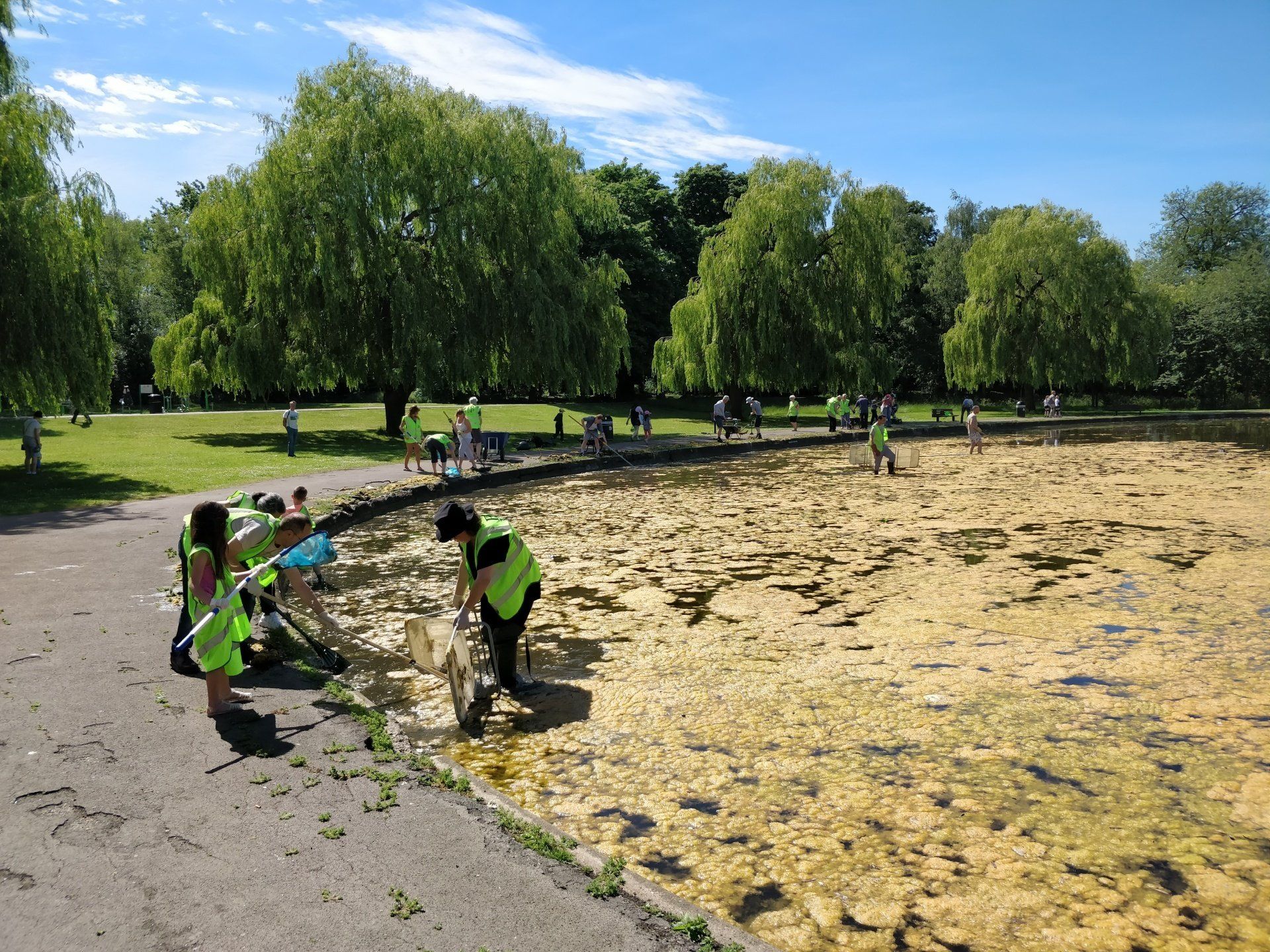 A group of people are cleaning a pond in a park.