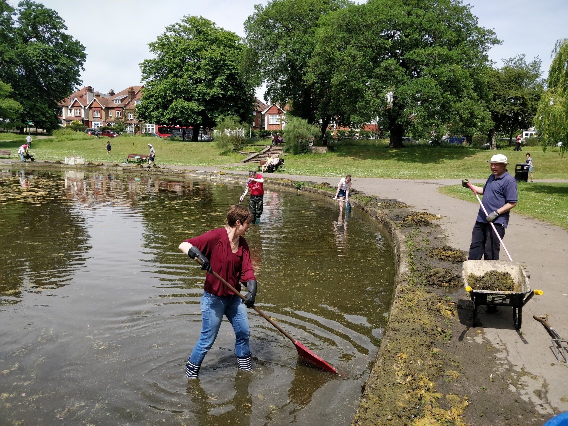 A group of people are cleaning a pond in a park