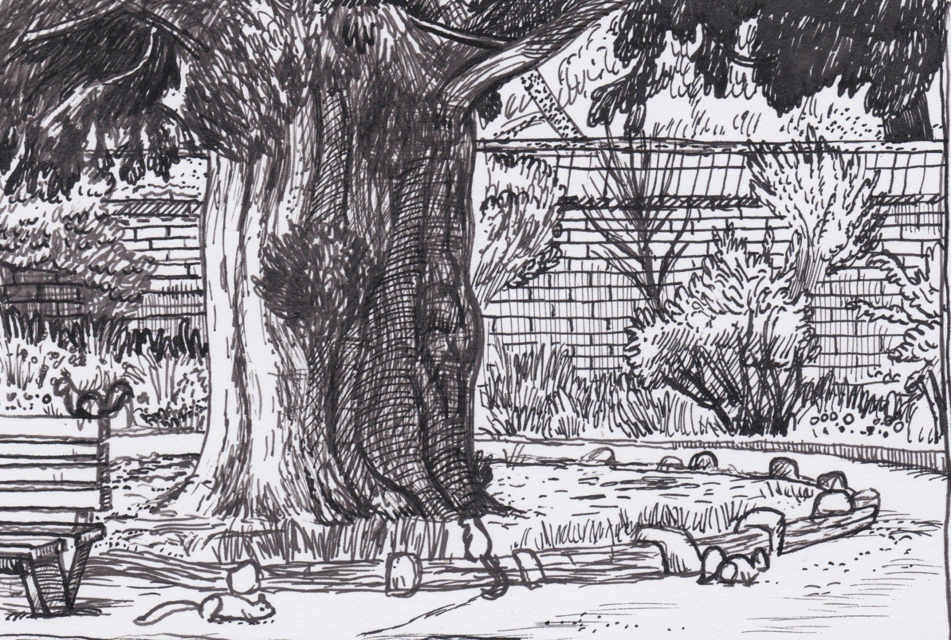 A black and white drawing of a park with a tree and a bench.