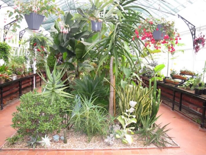 A greenhouse filled with lots of plants and flowers