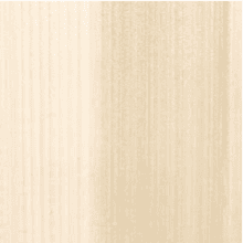 Poplar