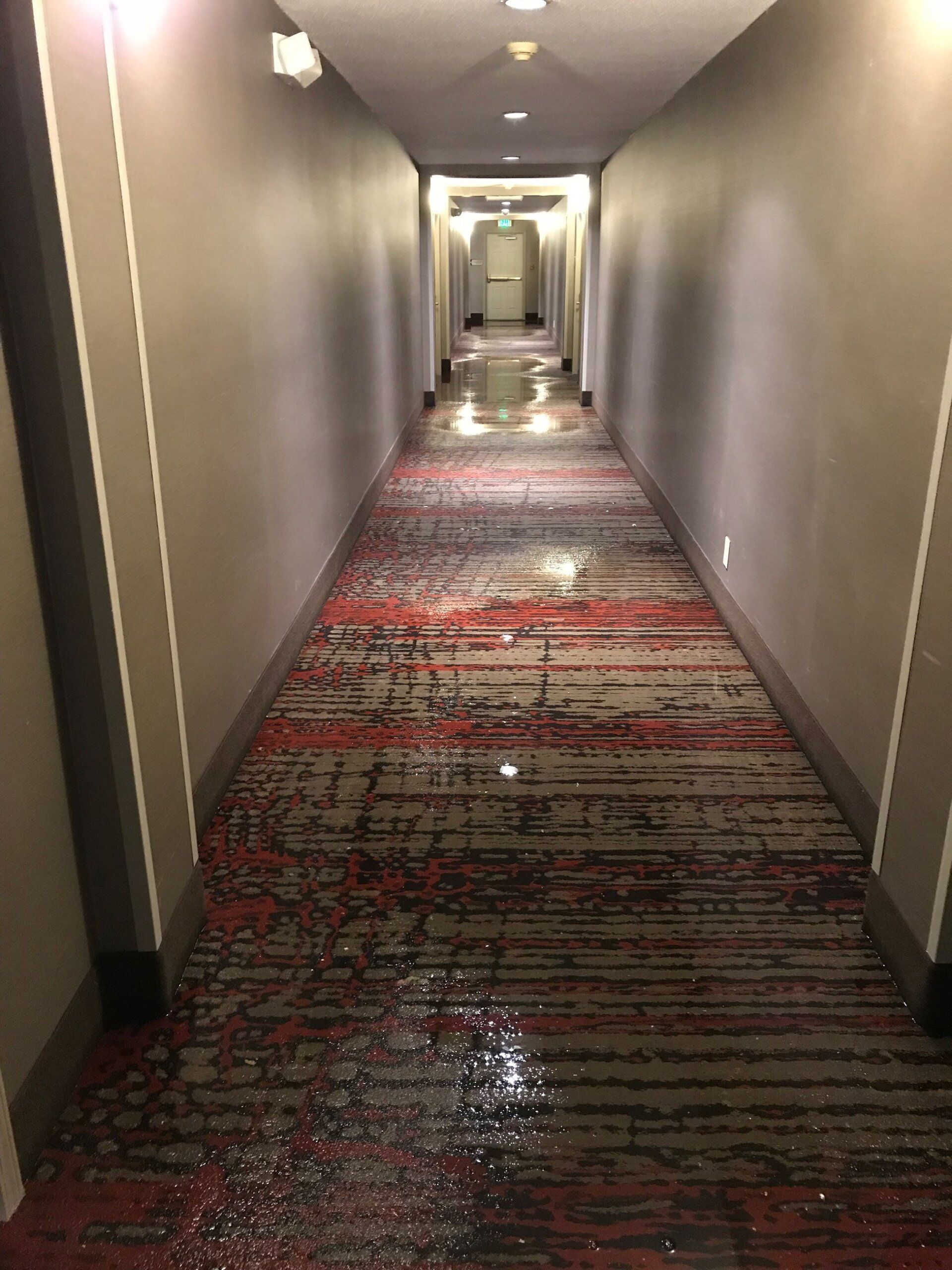 water damage help near me