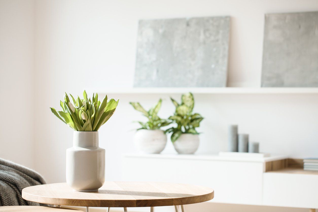 living room with house plants
